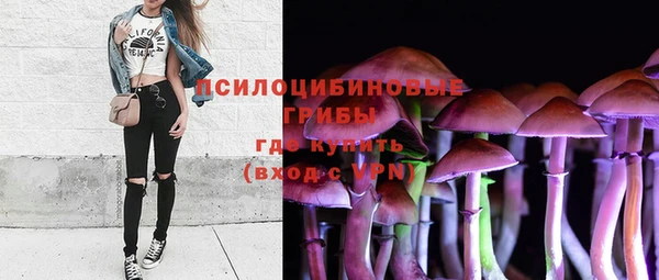 дурь Армянск