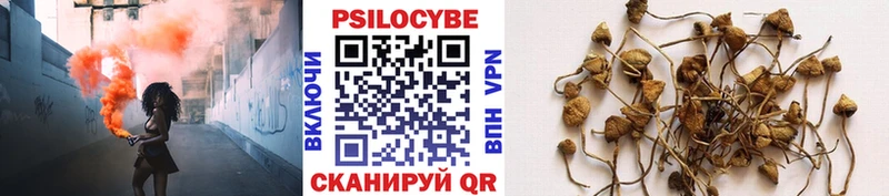 Псилоцибиновые грибы прущие грибы  Палласовка 